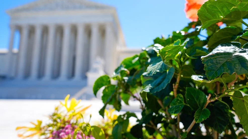 Supreme Court rejects Trump-backed challenge to late-arriving mail ballots