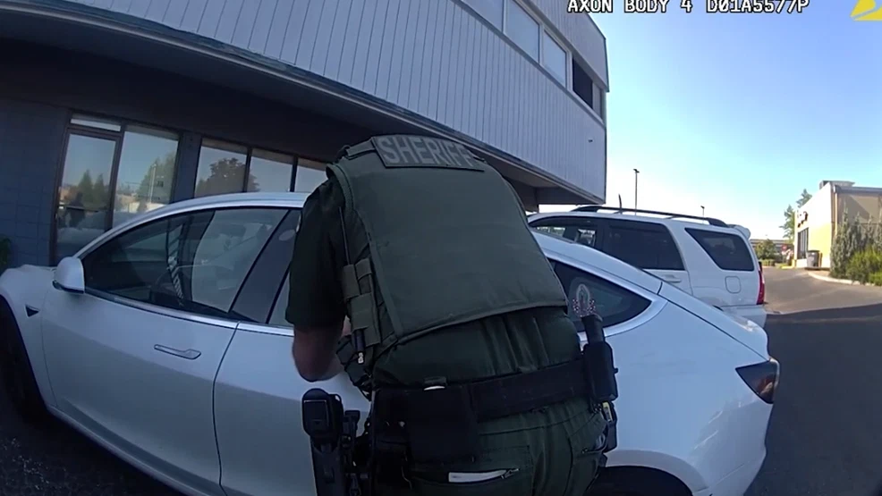 WATCH: Woman trapped in Tesla's 'pet safe mode' rescued after more than an hour