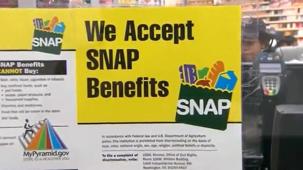 REPORT: Fraudsters collected millions from welfare programs using stolen identities